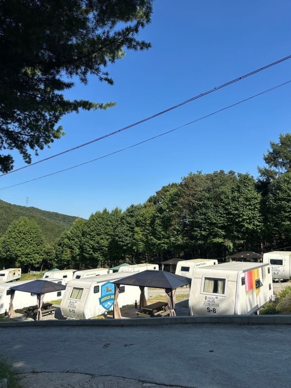 제천카라반 숲 속 힐링을 할 수 있는 곳,제천카라반더그린 후기