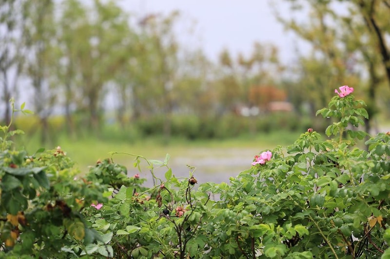 평택항 국민여가캠핑장 시설 사진 16