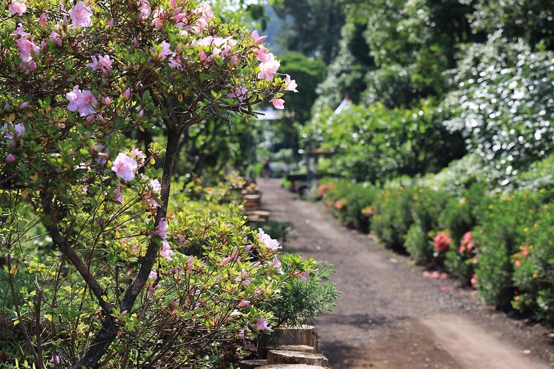 디-포레 카라반 파크 시설 사진 22