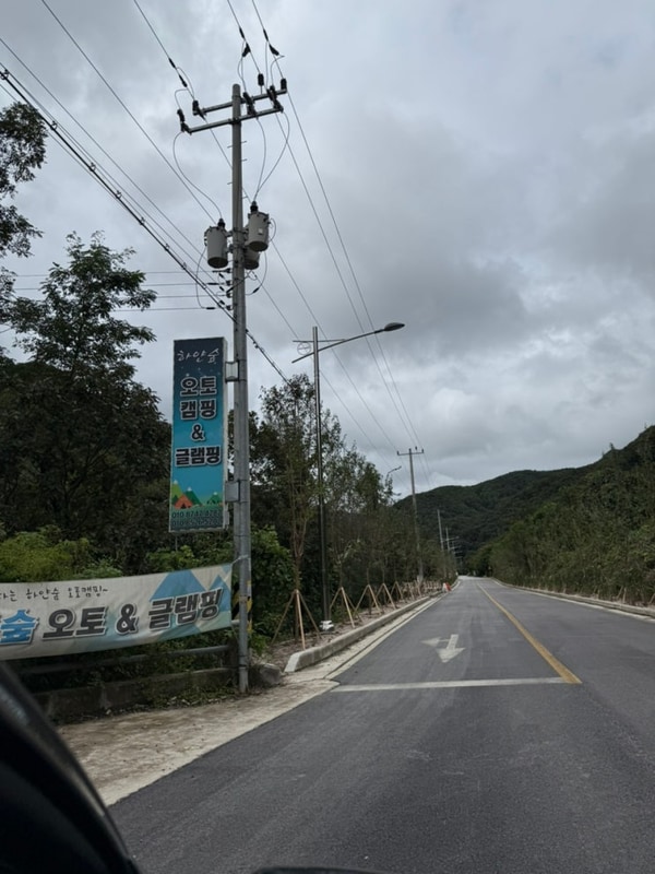 경기/포천캠핑장 : 하얀숲 오토 & 글램핑 캠핑장 | 나무숲뷰 32번...