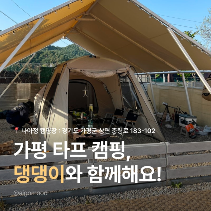 [가평] 타프존 + 애견울타리가 있는 애견동반 나아정캠핑장...