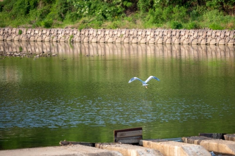 문경 카라반파파 시설 사진 12