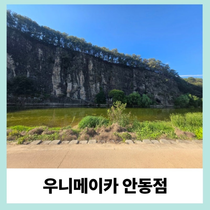 안동 캠핑장, 아이와 함께하는 캠핑 우니메이카 안동점 물놀이...