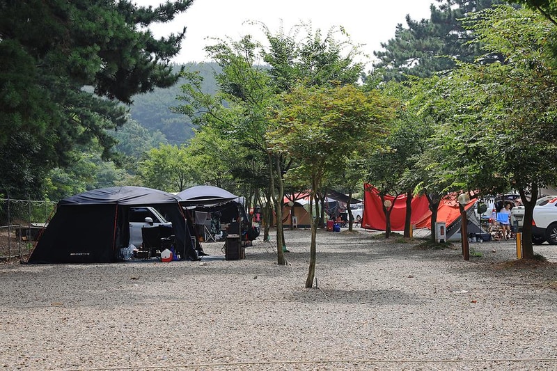 대부도나라캠핑장 시설 사진 15