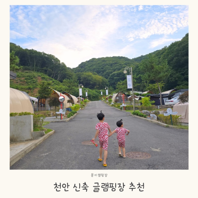 물놀이 키즈수영장있는 몽키캠핑장 천안 북면 글램핑 신축 펜션