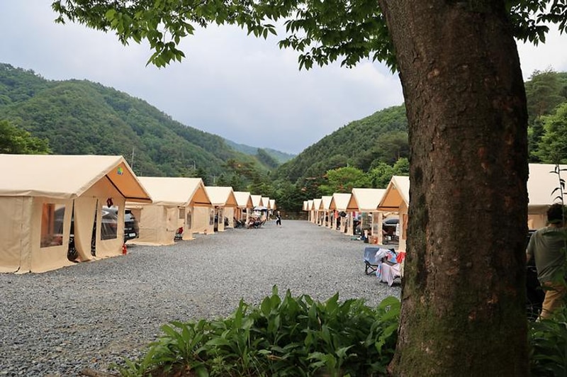 키즈락 캠핑장 대표 사진
