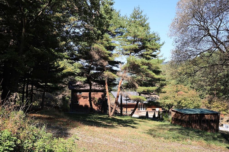 숲속행성 시설 사진 1