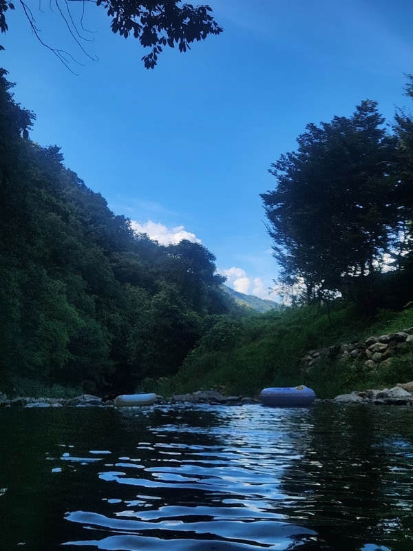 충북 영동 별밤펜션캠핑장 여행 후기
