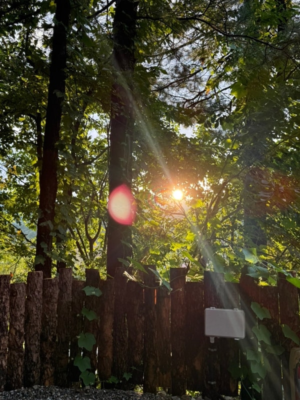 가평 선택적고립 캠핑장 c사이트 명당 c6 후기