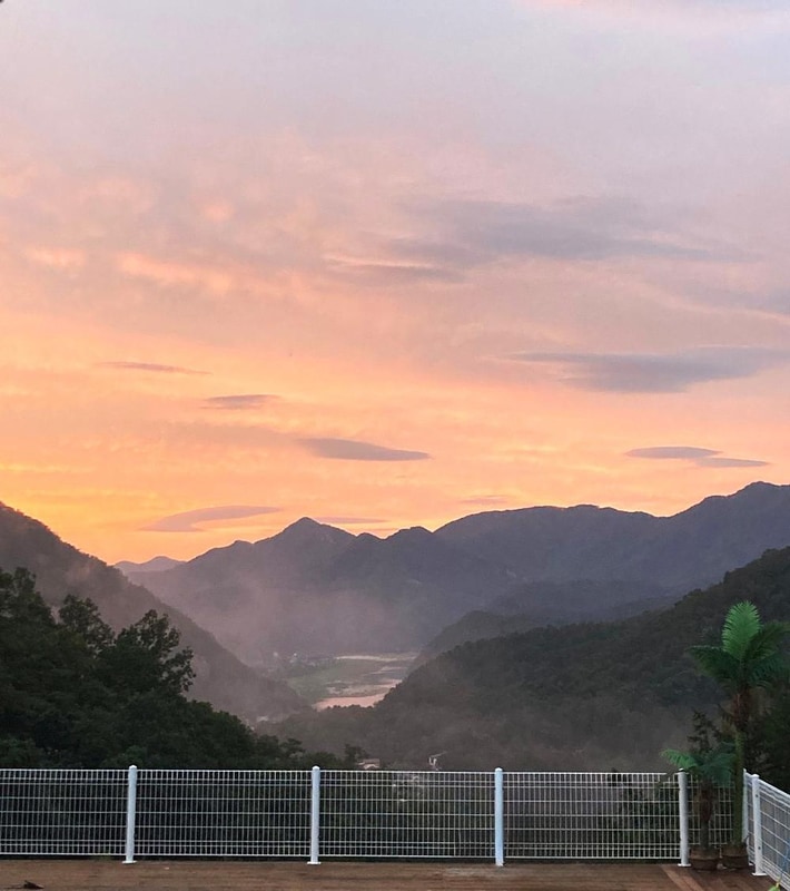 캐닌힐스(CANINHILLS) 시설 사진 3