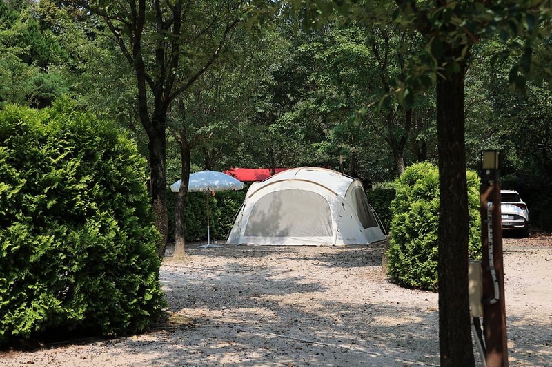 파이브이모션관광농원 시설 사진 11