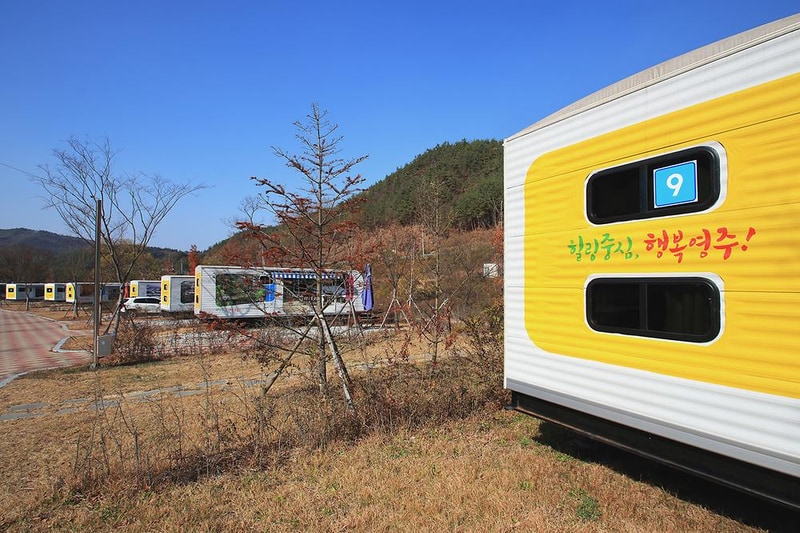 영주호오토캠핑장 시설 사진 4