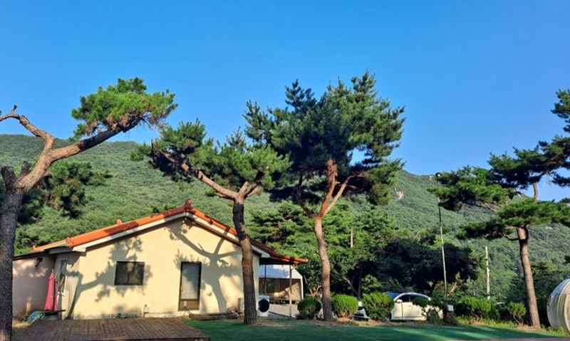 리틀빌리지 대표 사진