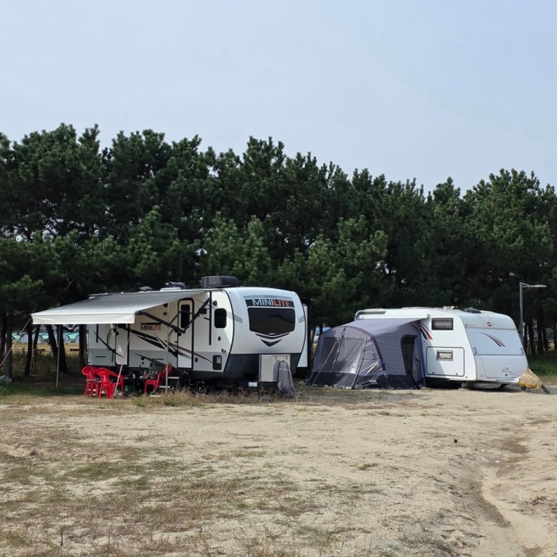 울진 오토캠핑장 | 바다 바로... 감성 캠핑, 염전해변캠핑장