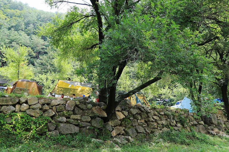 동강아름캠프 시설 사진 6