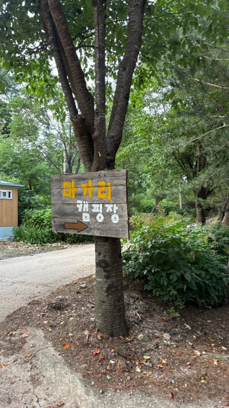 [계곡이 있는 캠핑장]-#봉평_마가리캠핑장