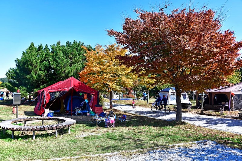 웅포관광지 캠핑장 시설 사진 4