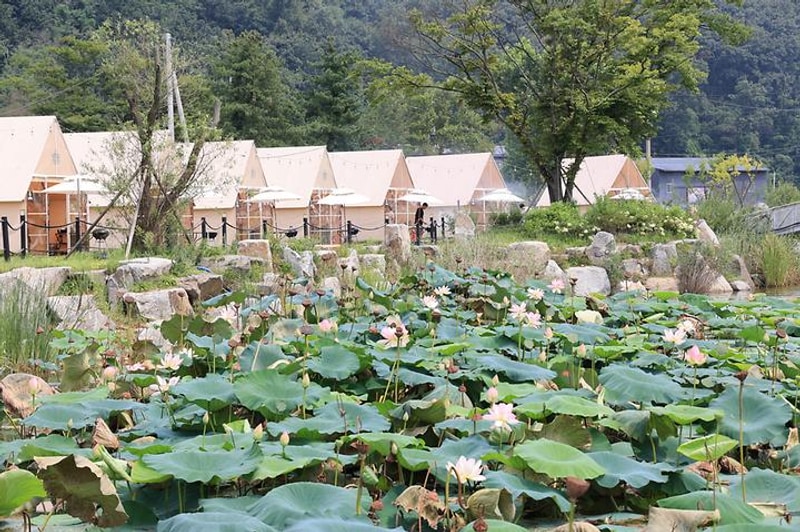 (주)캠핑야미 대표 사진