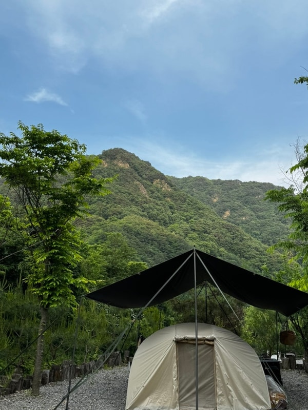 [캠핑#10] 2025.06 영월 별그리다 캠핑장 마운틴 01