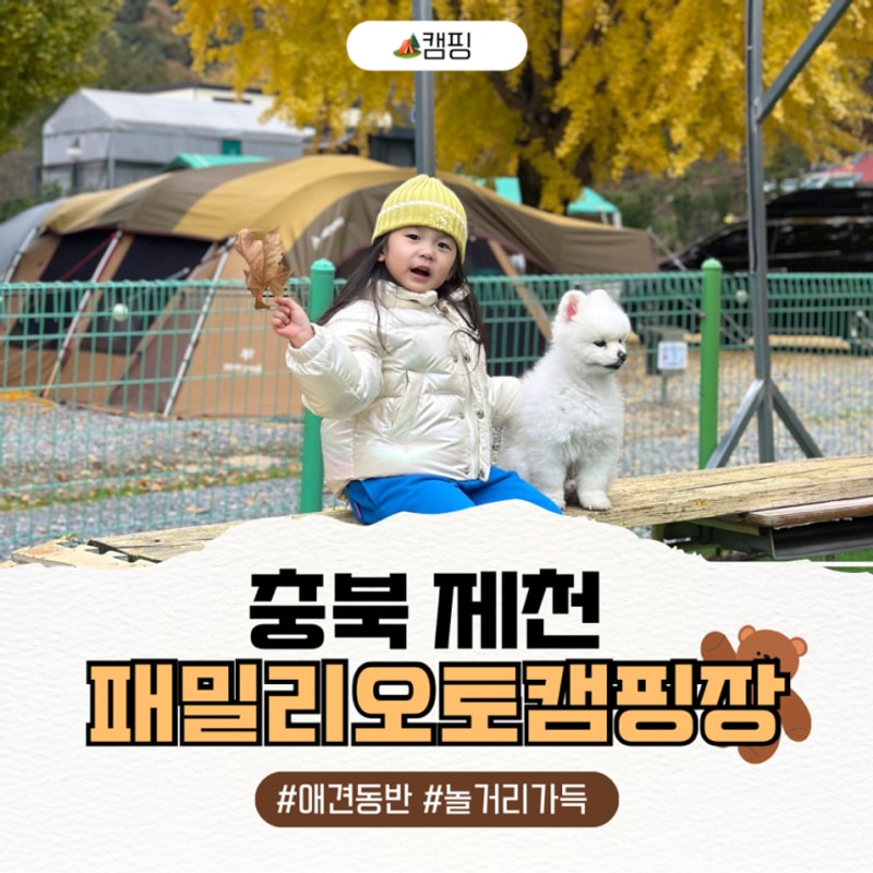 애견동반 가을 캠핑, 놀거리 가득한 충북 제천 패밀리오토캠핑장