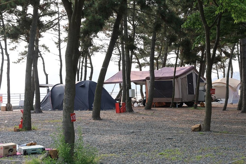 바다풍경관광농원 시설 사진 4