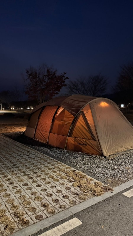 충주 목계솔밭캠핑장 c1 사이트 내돈내산후기