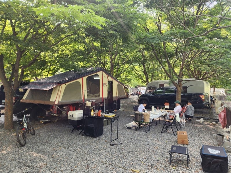 25.5.31~6.1 청도 그린나래캠핑장 폴딩트레일러 캠핑