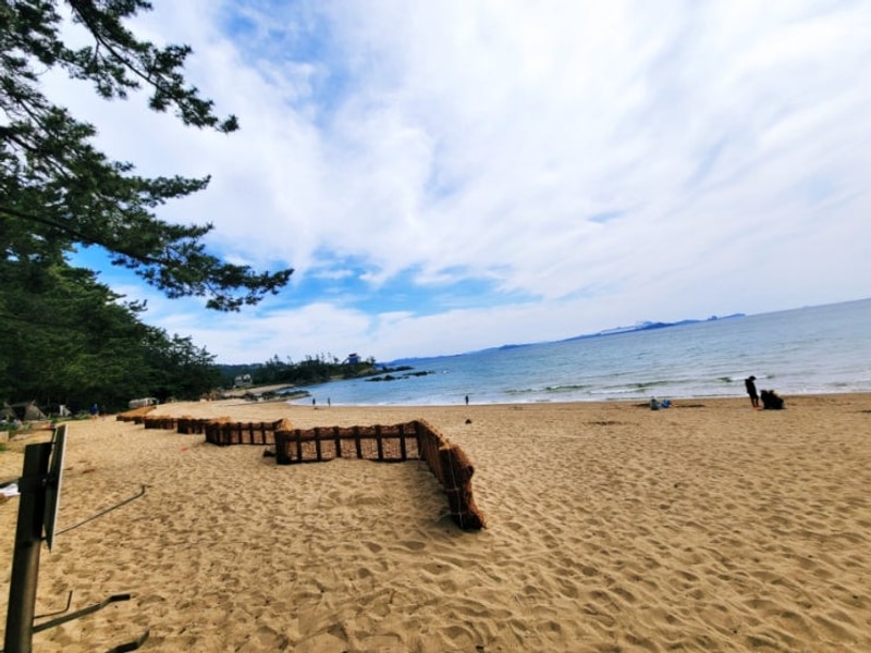 [충청남도 / 태안]... 갯벌체험캠핑장"굼벵이캠핑장"[내돈내산]