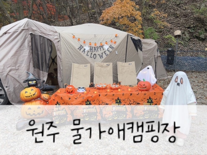 강원도원주 물가애캠핑장 할로윈캠+단풍캠 5세 아이와 다녀온...