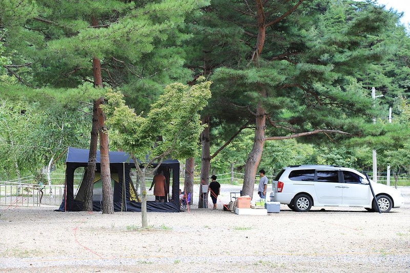 삼척엘림캠핑장 시설 사진 21