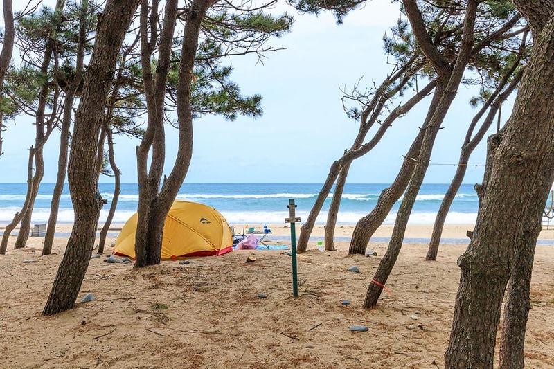 화진해수욕장 마을번영회 야영장 시설 사진 6