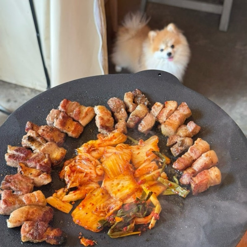 애견동반 독채 바베큐장 :: 계곡 물놀이 가능한 양주 캠프랩...