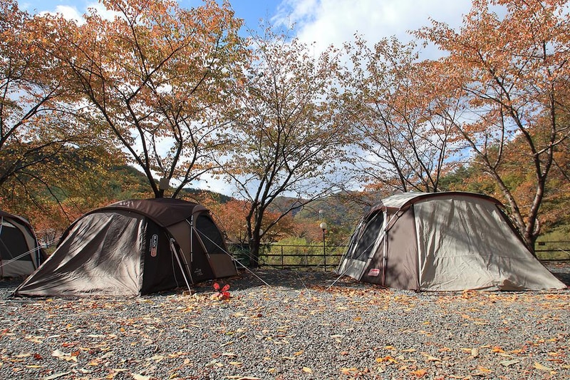 그린하우스캠핑장 시설 사진 16