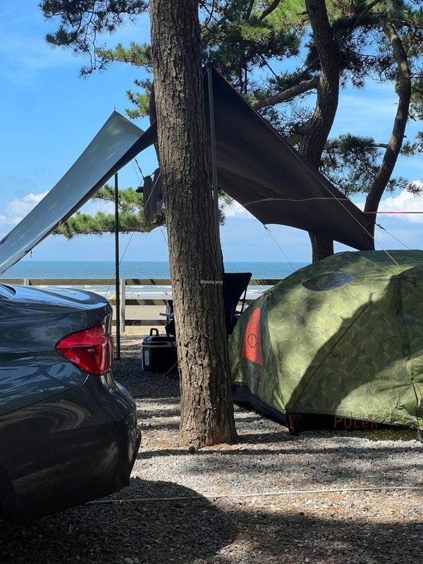 충남 태안 오션뷰 애견동반 몽산포오토캠핑장 2구역 추천 명당...