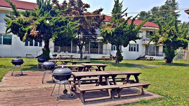 골드펫리조트 시설 사진 8