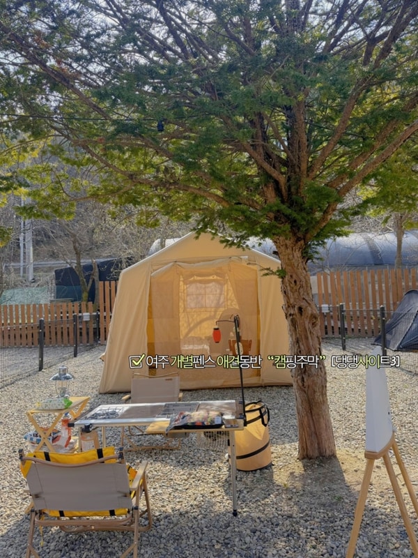 [여주] 서울근교 개별펜스가 있는 애견 동반 캠핑장 '캠핑주막...