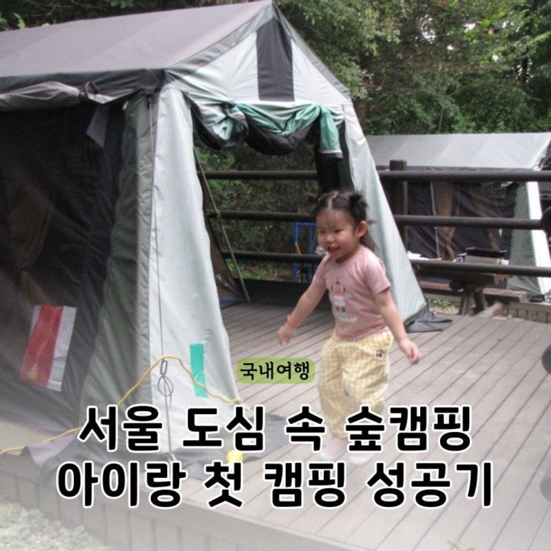 강동그린웨이 가족캠핑장 매화나무 예약 주말 아이와 방문후기