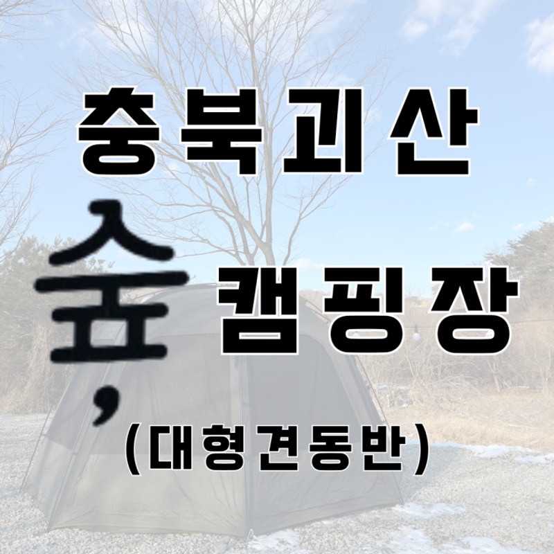 대형견과 괴산캠핑｜숲캠핑장에 다녀오다!