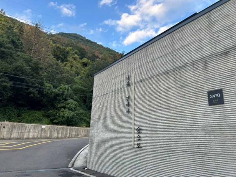 [청도 숙소]계곡 옆 펜션과 캠핑을 동시에, 내를 건너서 숲으로