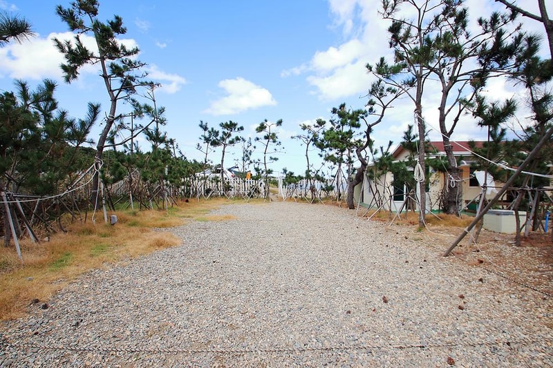 땅끝황토펜션야영장 시설 사진 2