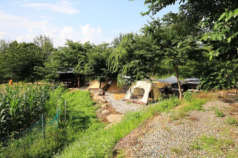 산머루농원캠핑장 시설 사진 4