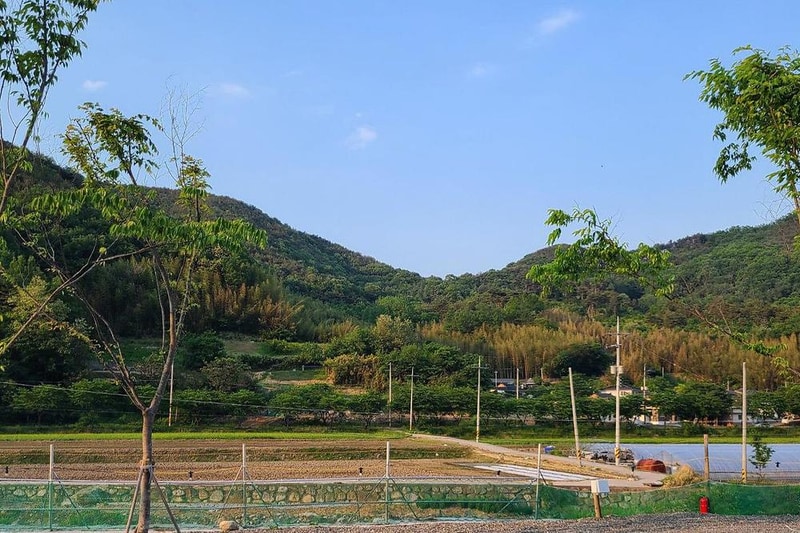 다시캠핑장위드펫 시설 사진 1