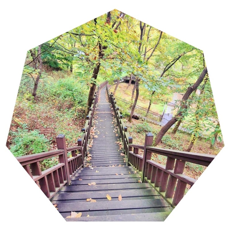 금산 라곰 글램핑 자연 속 휴식과 맛집 여행 이야기