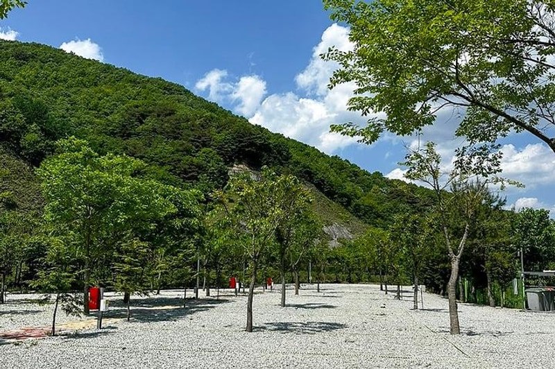 황토하우스캠핑장 대표 사진