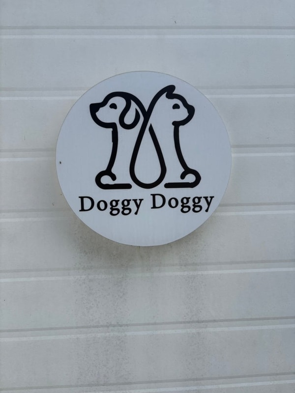 2025/08/10-12 대형견 동반 강원도 횡성 여행  도기도기캠프