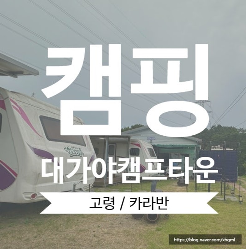 [경북/고령] 대구구미근교캠핑 ️대가야캠프타운