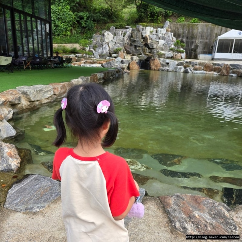충남 천안 몽키캠핑장에서 아이와 글램핑 1박 가족여행