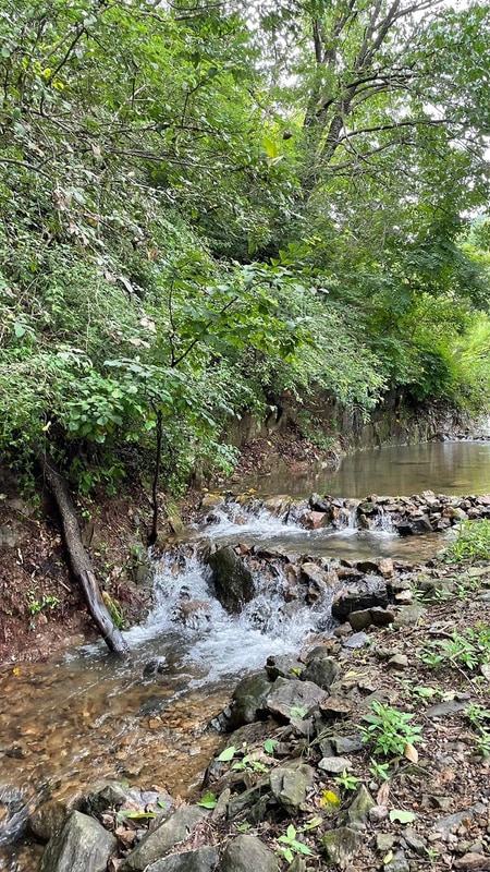 반딧불 캠핑장 시설 사진 9