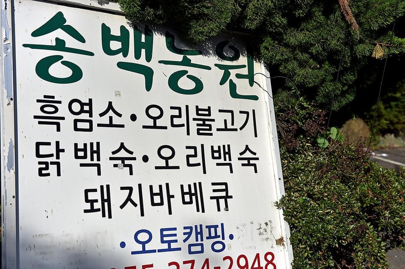 송백농원캠핑장 시설 사진 9