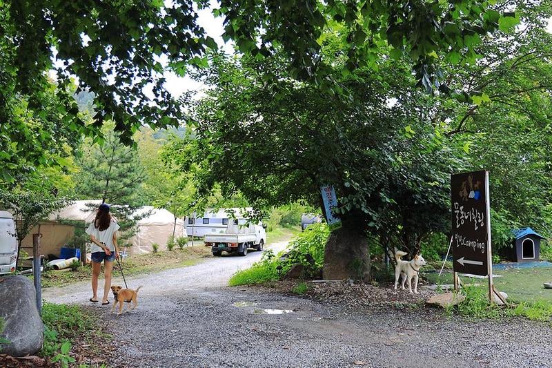 물동네 힐링 야영장 시설 사진 16